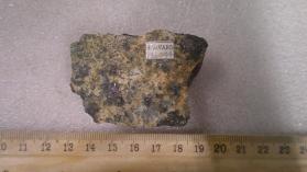 Bornite