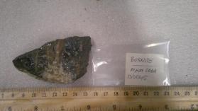 Bornite
