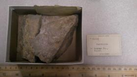 Curtisite