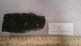 black coal