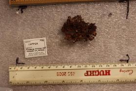 Copper