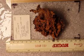 Copper with Cuprite