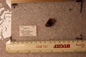 Zircon