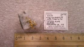 Gold with Calaverite and Petzite