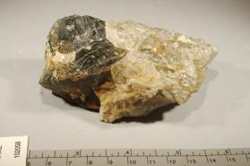 CASSITERITE