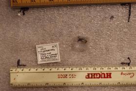 Gold with Arsenopyrite