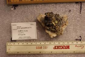 Gold with Arsenopyrite