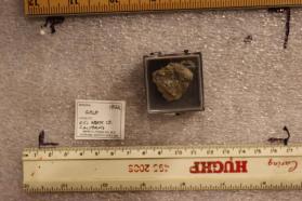 Gold with Quartz