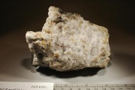 jasper
