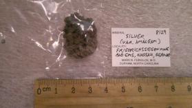 Silver var. Amalgam