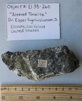 Gneiss