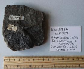 Amphibolite norite