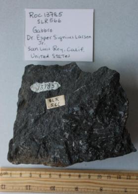 Hornblende Gabbro