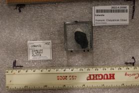 Cohenite