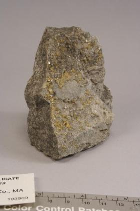 haydenite