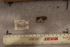 Gold with Uraninite