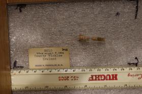 Gold (in vial)