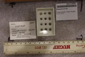 Diamond (12 Xls)