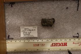 Gold with Sphalerite