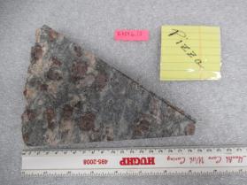garnetiferous schist "pizza"