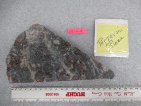 garnetiferous schist "pizza"