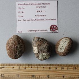 Granodiorite Nodules