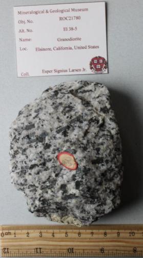 Granodiorite