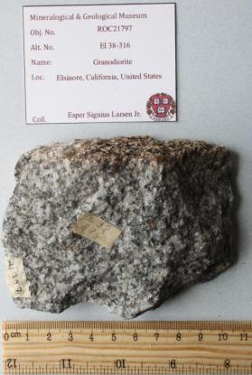 Granodiorite Porphyry