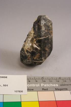 Columbite-(Fe)