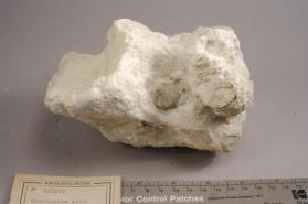 Apophyllite