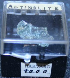 Actinolite