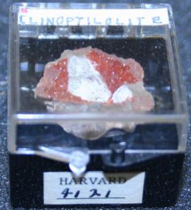 Clinoptilolite