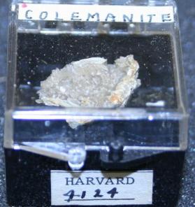 Colemanite