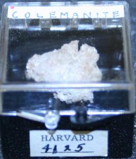 Colemanite