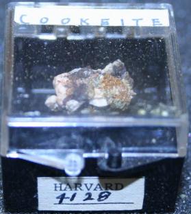 Cookeite