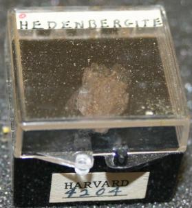HEDENBERGITE