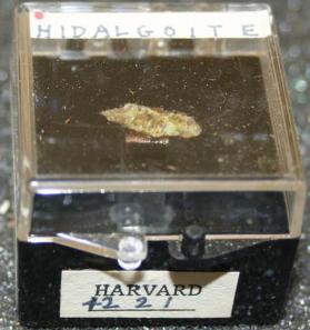 Hidalgoite
