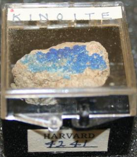Kinoite