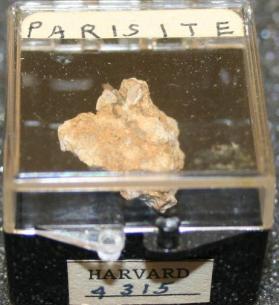 Parisite