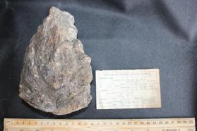 Littleton formation Sillimanite