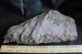 Littleton formation Schist