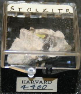 Stolzite