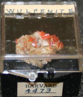 Wulfenite