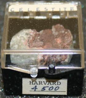 Celestine
