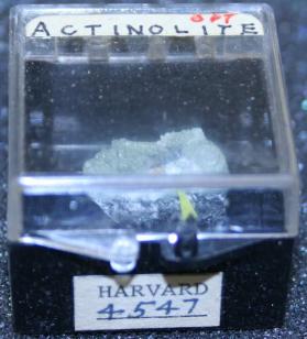 Actinolite