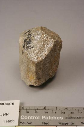 Muscovite