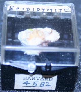 Epididymite