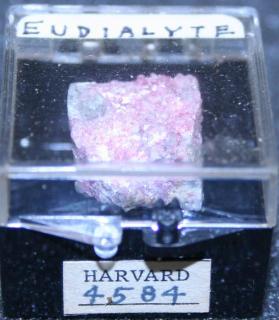 Eudialyte