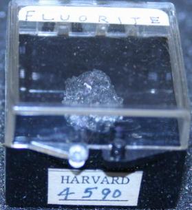 FLUORITE