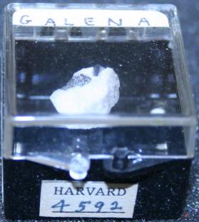 Galena